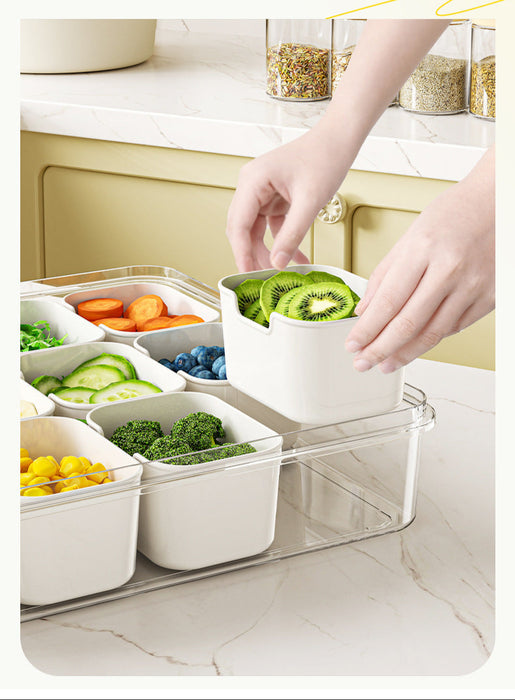 KIT-10-50 LT-1009 Condiment Food Storage Organizer