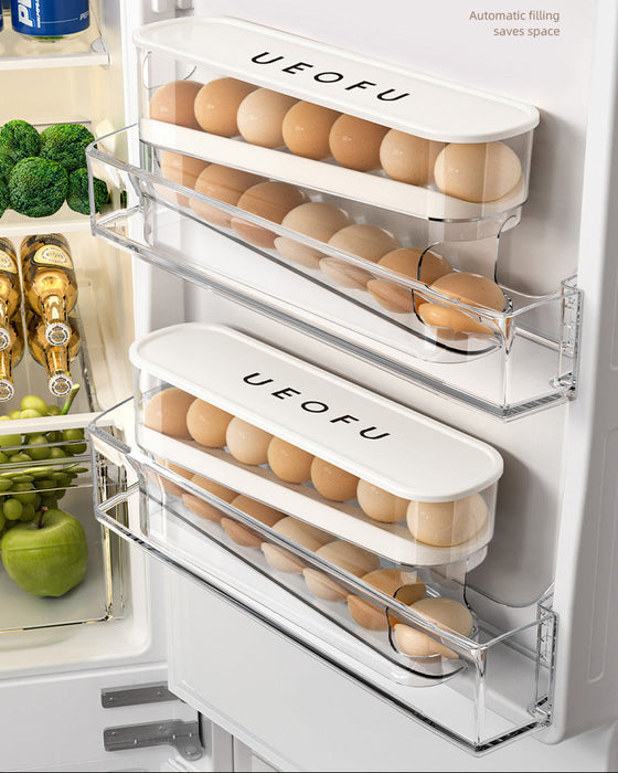 KIT-20-10 TM8801 Egg Storage Organizer