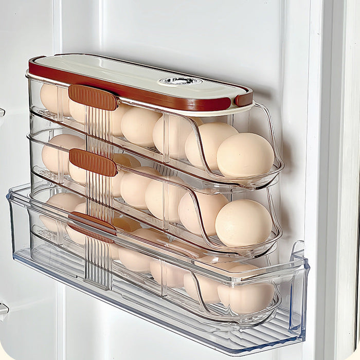 KIT-20-11 LT-9026 Egg Storage Organizer