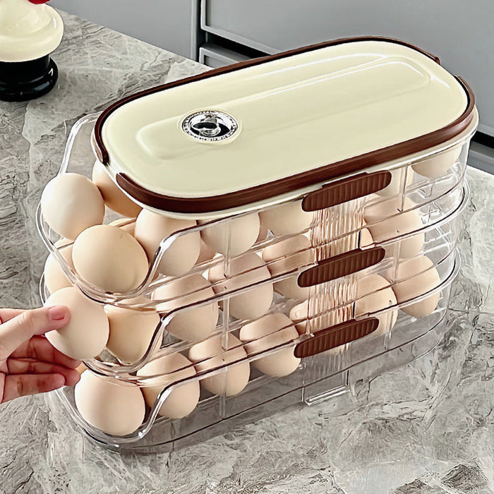 KIT-20-11 LT-9026 Egg Storage Organizer