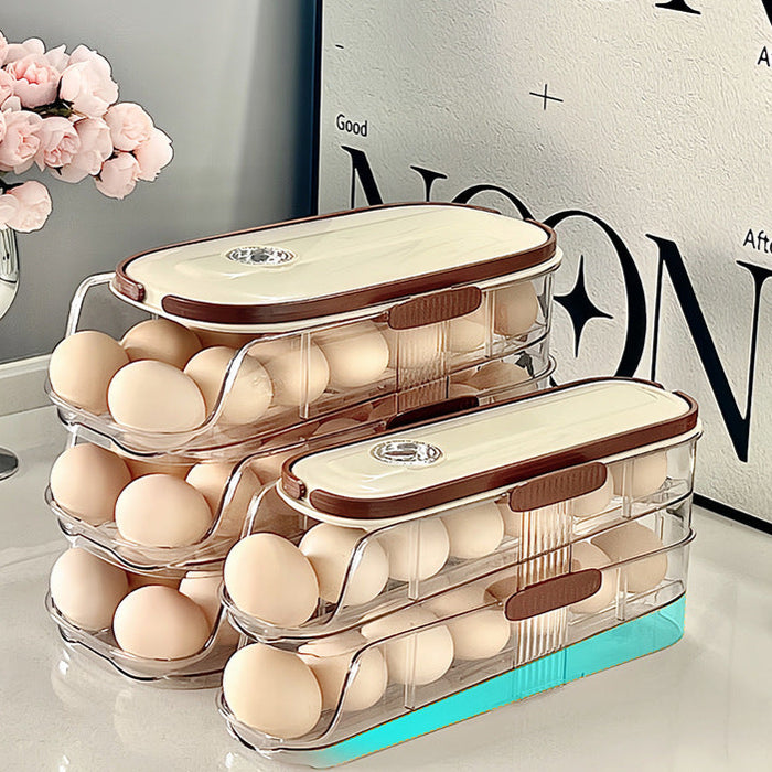 KIT-20-11 LT-9026 Egg Storage Organizer