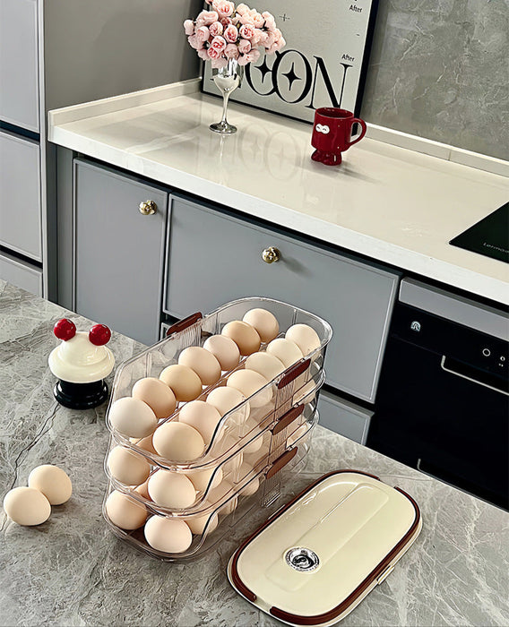 KIT-20-11 LT-9026 Egg Storage Organizer