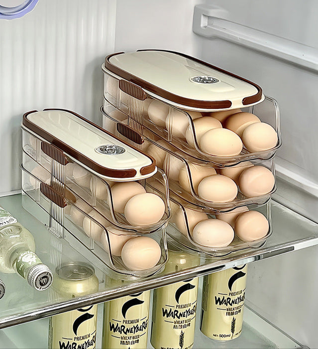 KIT-20-11 LT-9026 Egg Storage Organizer