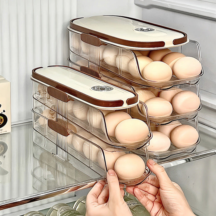 KIT-20-11 LT-9026 Egg Storage Organizer