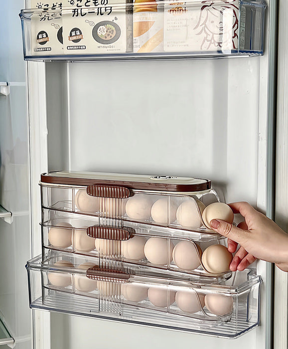 KIT-20-11 LT-9026 Egg Storage Organizer