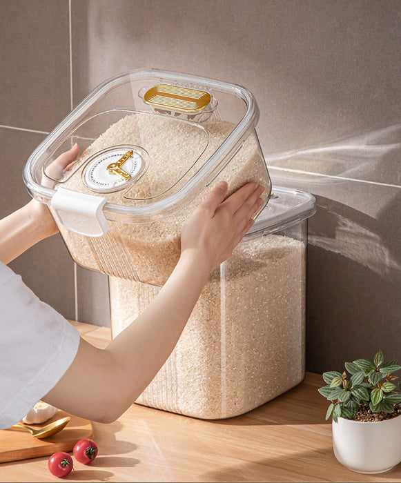 KIT-22-10 B806 Rice Storage